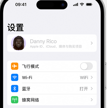 积玉口镇appleID维修服务iPhone设置中Apple ID显示为灰色无法使用