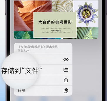 积玉口镇apple维修中心分享iPhone文件应用中存储和找到下载文件