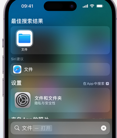 积玉口镇apple维修中心分享iPhone文件应用中存储和找到下载文件