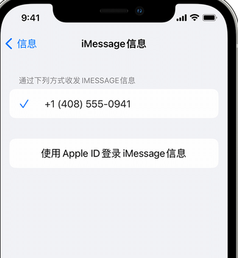 积玉口镇apple维修iPhone上无法正常发送iMessage信息 