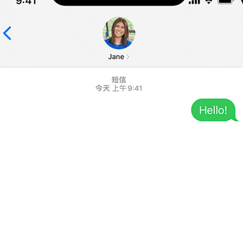 积玉口镇apple维修iPhone上无法正常发送iMessage信息