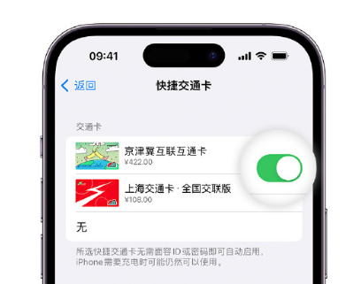 积玉口镇apple维修点分享iPhone上更换Apple Pay快捷交通卡手绘卡面 