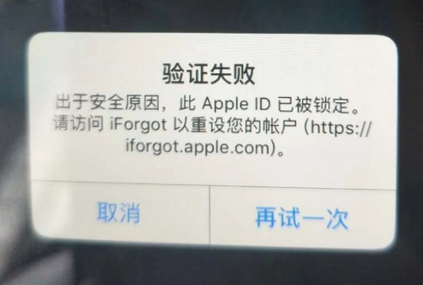 积玉口镇iPhone维修分享iPhone上正常登录或使用AppleID怎么办 