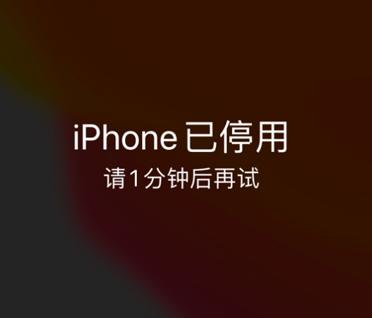 积玉口镇苹果手机维修分享:iPhone 显示“不可用”或“已停用”怎么办？还能保留数据吗？ 