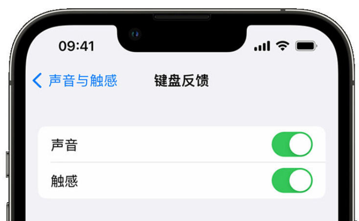 积玉口镇苹果手机维修分享iPhone 14触感键盘使用方法 