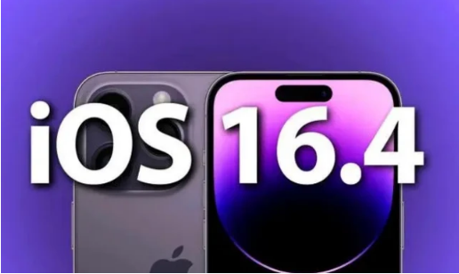 积玉口镇苹果14维修分享：iPhone14可以升级iOS16.4beta2吗？ 