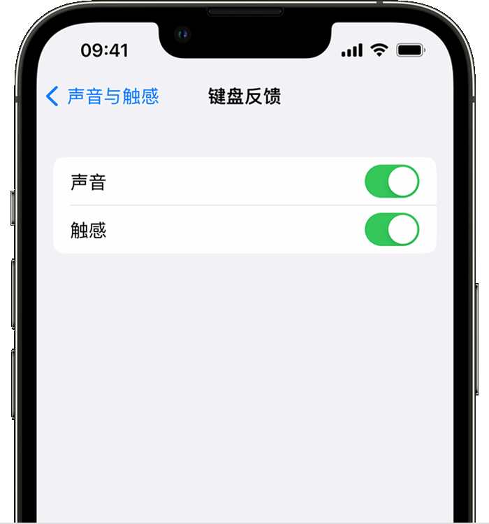 积玉口镇苹果14维修店分享如何在 iPhone 14 机型中使用触感键盘 