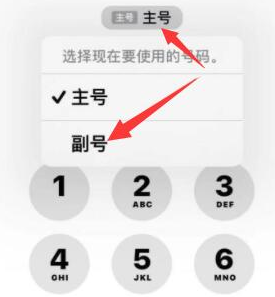 积玉口镇苹果14维修店分享iPhone 14 Pro Max使用副卡打电话的方法 