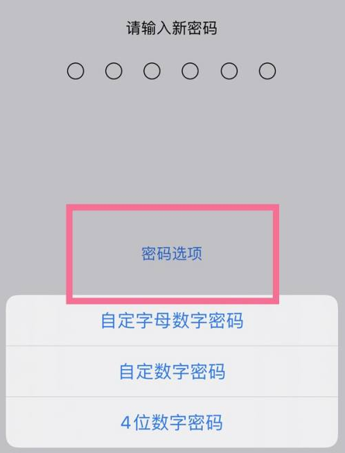 积玉口镇苹果14维修分享iPhone 14plus设置密码的方法 