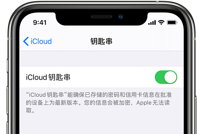 积玉口镇苹果手机维修分享在 iPhone 上开启 iCloud 钥匙串之后会储存哪些信息 